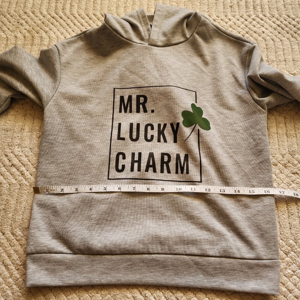 Kids Gray “MR. LUCKY CHARM” Shamrock Hoodie Size L - Picture 9 of 16